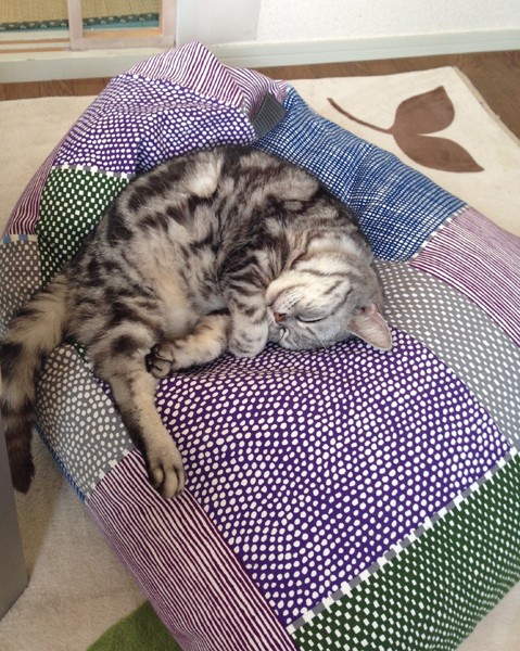 20150518-kk01.jpg
