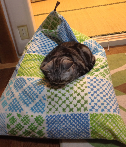 20150518-kk02.jpg