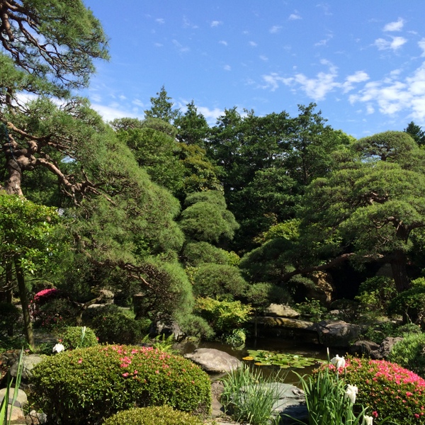 20150605-IMG_1801.JPG