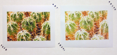 20111119-3.jpg