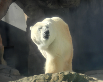 20120307-2012.1.jpg