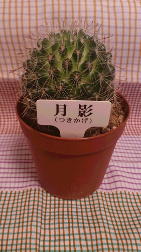 20140808-0808-3.jpg