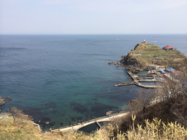 20150427-IMG_2914.JPG