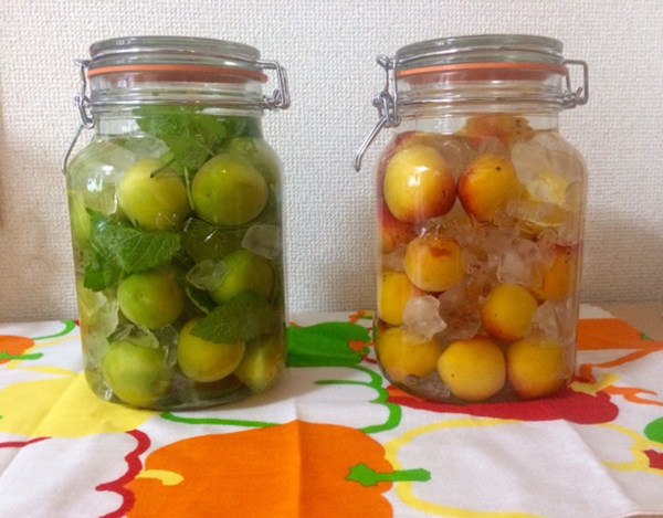 20150613-FullSizeRender-%286%29.jpg
