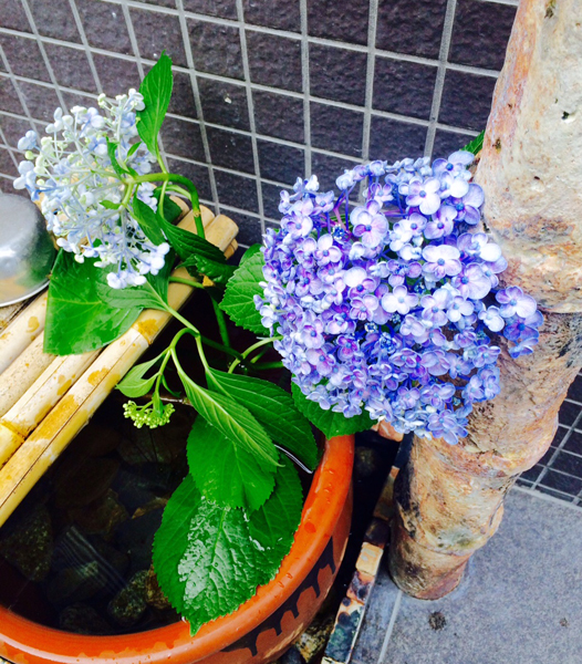 20150614-FullSizeRender1.jpg