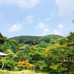 20150803-IMG_4.jpg