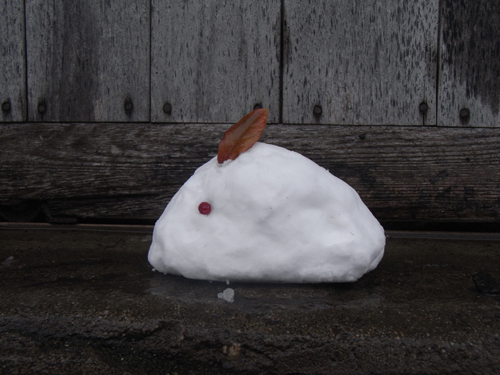20110101-RIMG2888.JPG