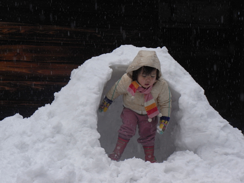 20110101-RIMG2905.JPG