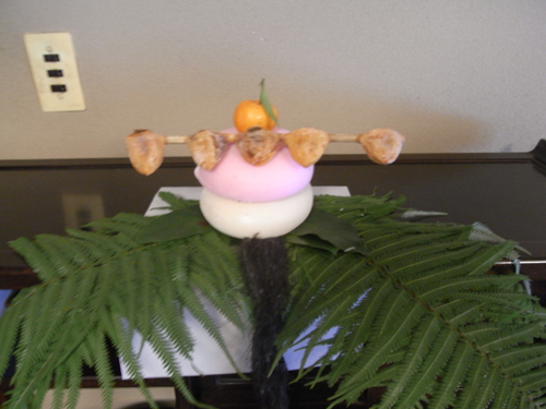 20110101-RIMG2934.JPG