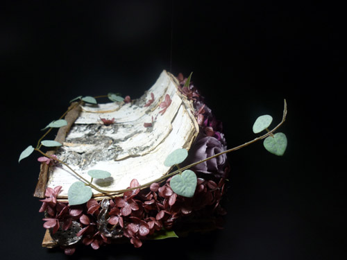 20110129-flower3.jpg
