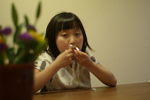 20140519-L1002380.JPG