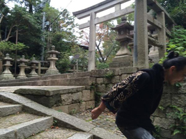 20141107-12.jpg