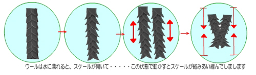 20131004-r171.jpg 20131004-r171.jpg