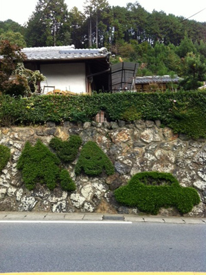 20131119-1.jpg