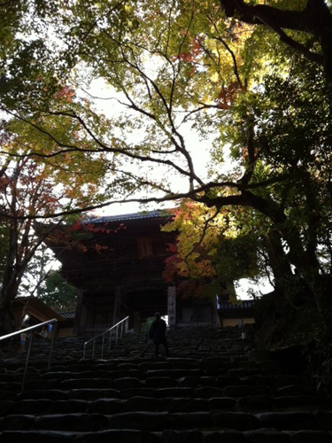 20131119-d.jpg