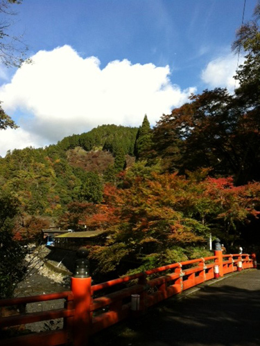 20131119-f.jpg