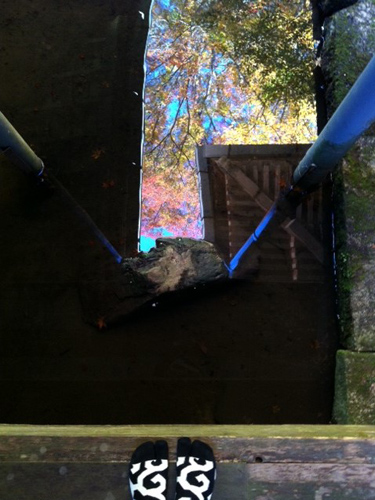 20131119-h.jpg