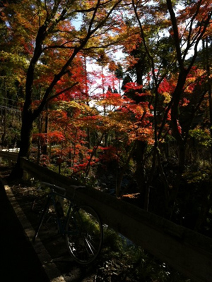 20131119-i.jpg
