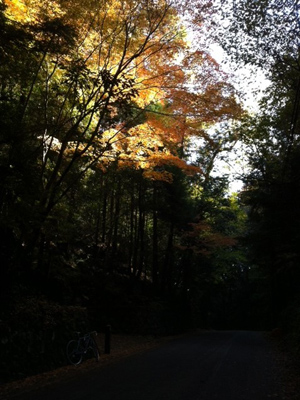 20131119-j.jpg