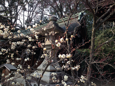 20140227-IMG_8989.JPG