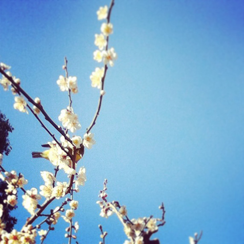 20140321-kitano.jpg