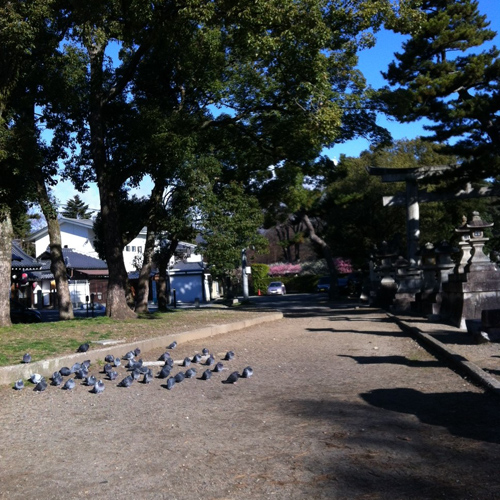20140321-kitano3.jpg