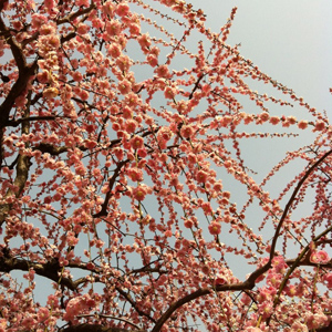 20140321-minami3.jpg