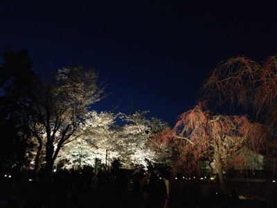 20140414-IMG_9230.JPG