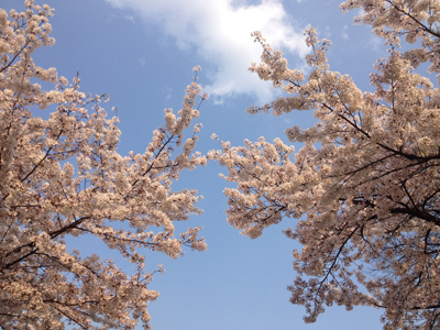 20140414-IMG_9273.JPG