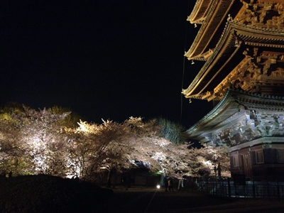 20140414-IMG_9320.JPG