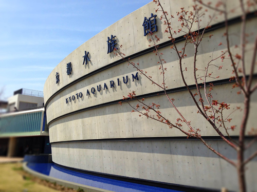 20140506-photo2.jpg