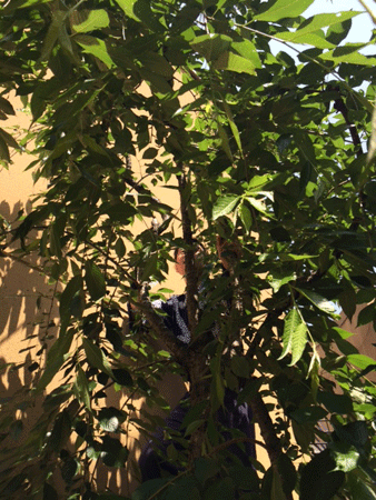 20140530-45.gif