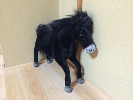20140530-IMG_1301.gif