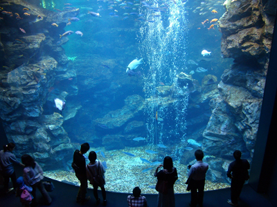20120520-画像５.jpg