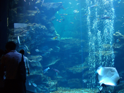 20120520-画像６.jpg