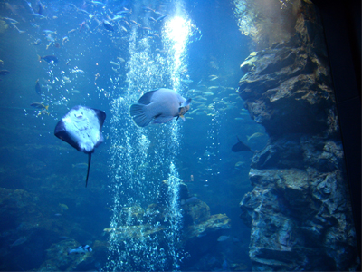 20120520-画像７.jpg