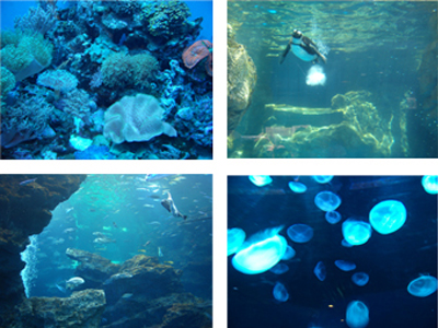 20120521-画像2.jpg