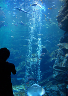 20120522-画像８.jpg