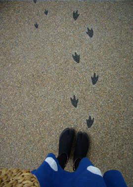 20120522-画像９.jpg
