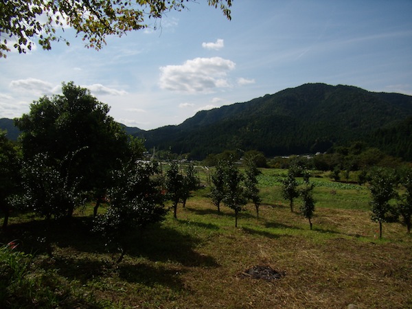 20131003-P7303099.JPG