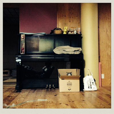 20131212-IMG_0624.PNG