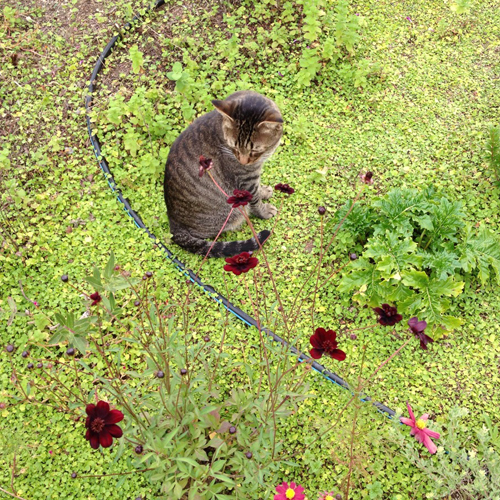 20140427-0427-2.jpg