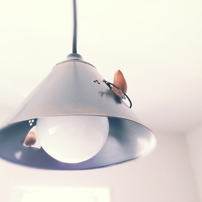 20140531-06014.JPG