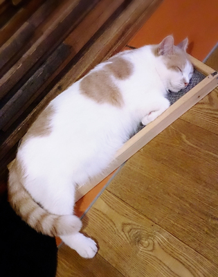 20140910-0910-16.jpg