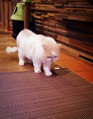20140910-0910-17.jpg