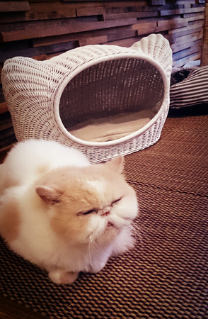 20140910-0910-18.jpg