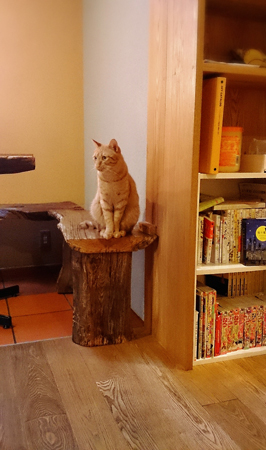 20140910-0910-19.jpg