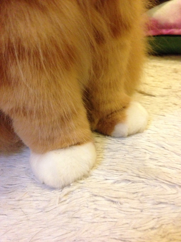 20140910-0910-20.jpg