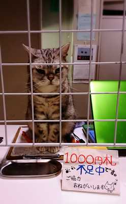 20140910-0910-5.jpg