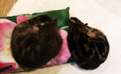 20140910-0910-6.jpg
